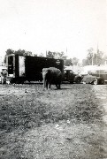 Montgomery County Fair (2)
